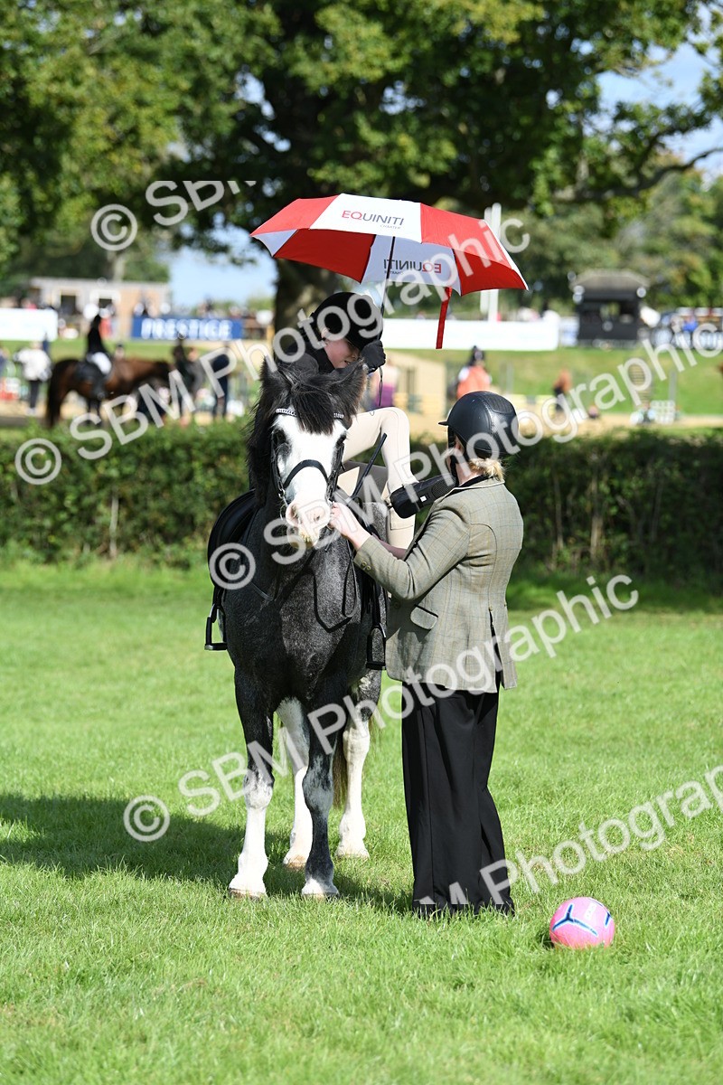 SBM_47092 - S12 - Family Horse & Pony