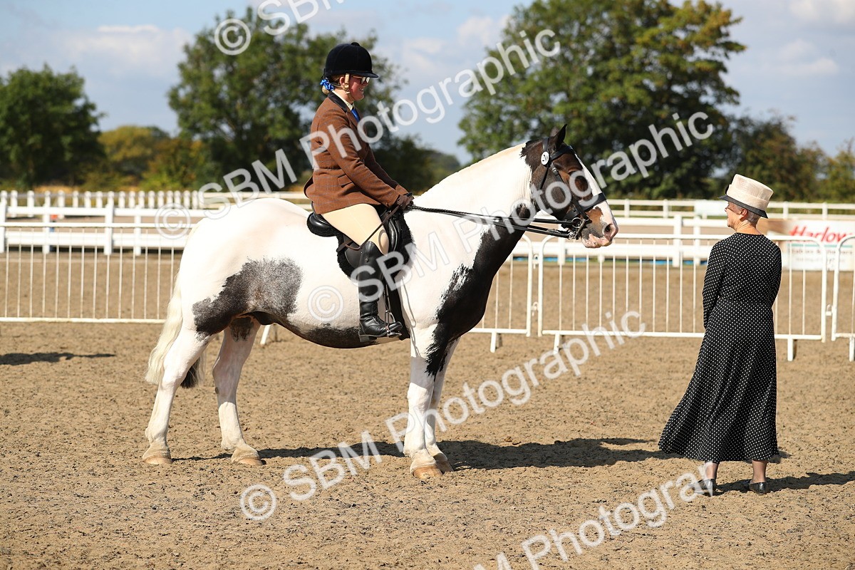 SBM_03194 - Class 44 Riding Club Horse/ Pony