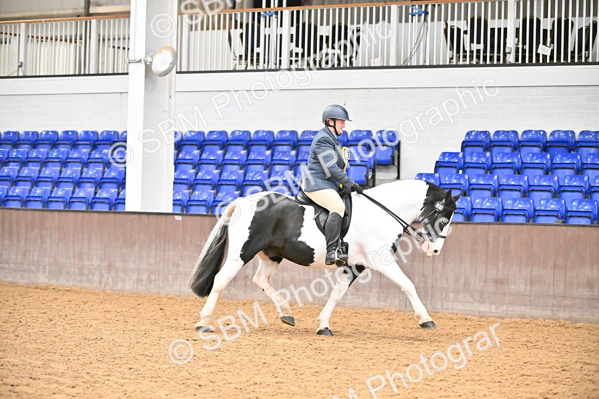 SBM_002682 - Class 28,29 - Ridden Irish & Coloured