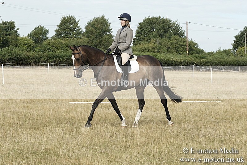 _PJP5665 - Dressage Classes BVRC Show 2018