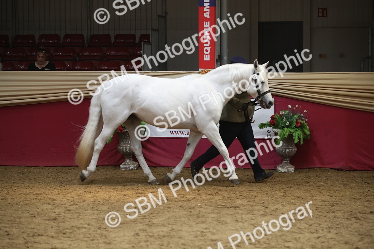 SBM_05584 - Class 9R - Regional IH Pre-Vet