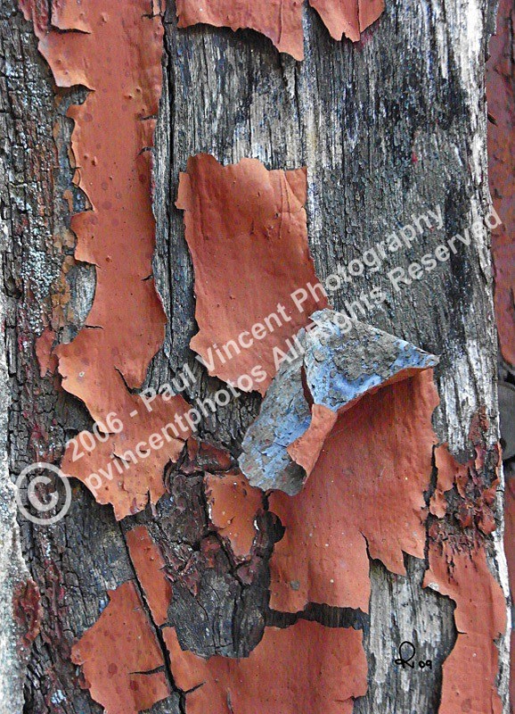 Flaking Paint - Patterns