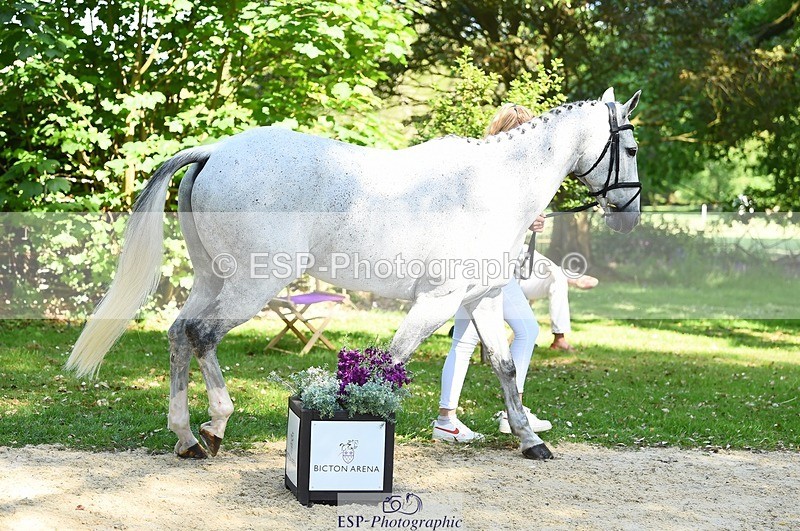 230524-155534-00557 - 203-DHI_CHILLI_START-Sophie_Hodgson-WEDTrotUp+DR