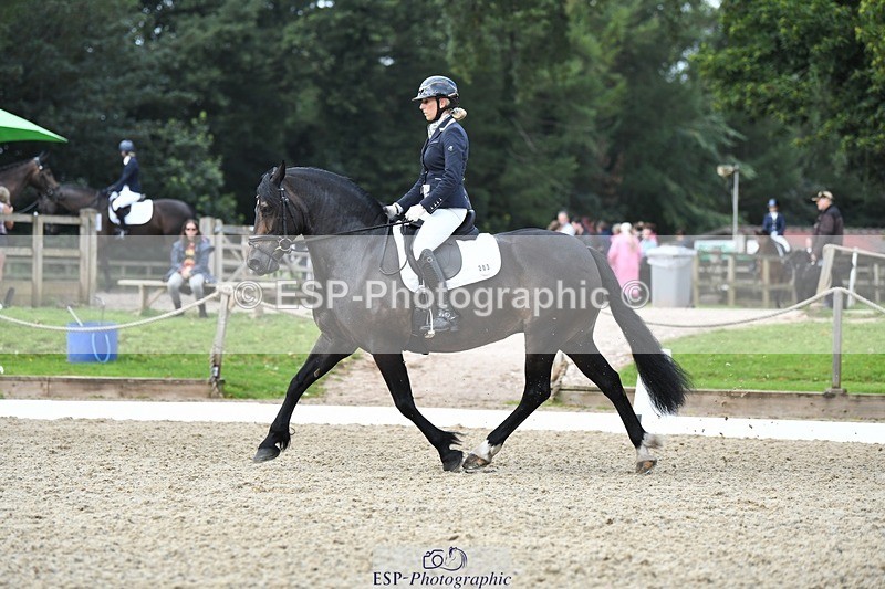 230812-105218-03484 - Cls 6 Novice Silver 10.30 to 11.55 break