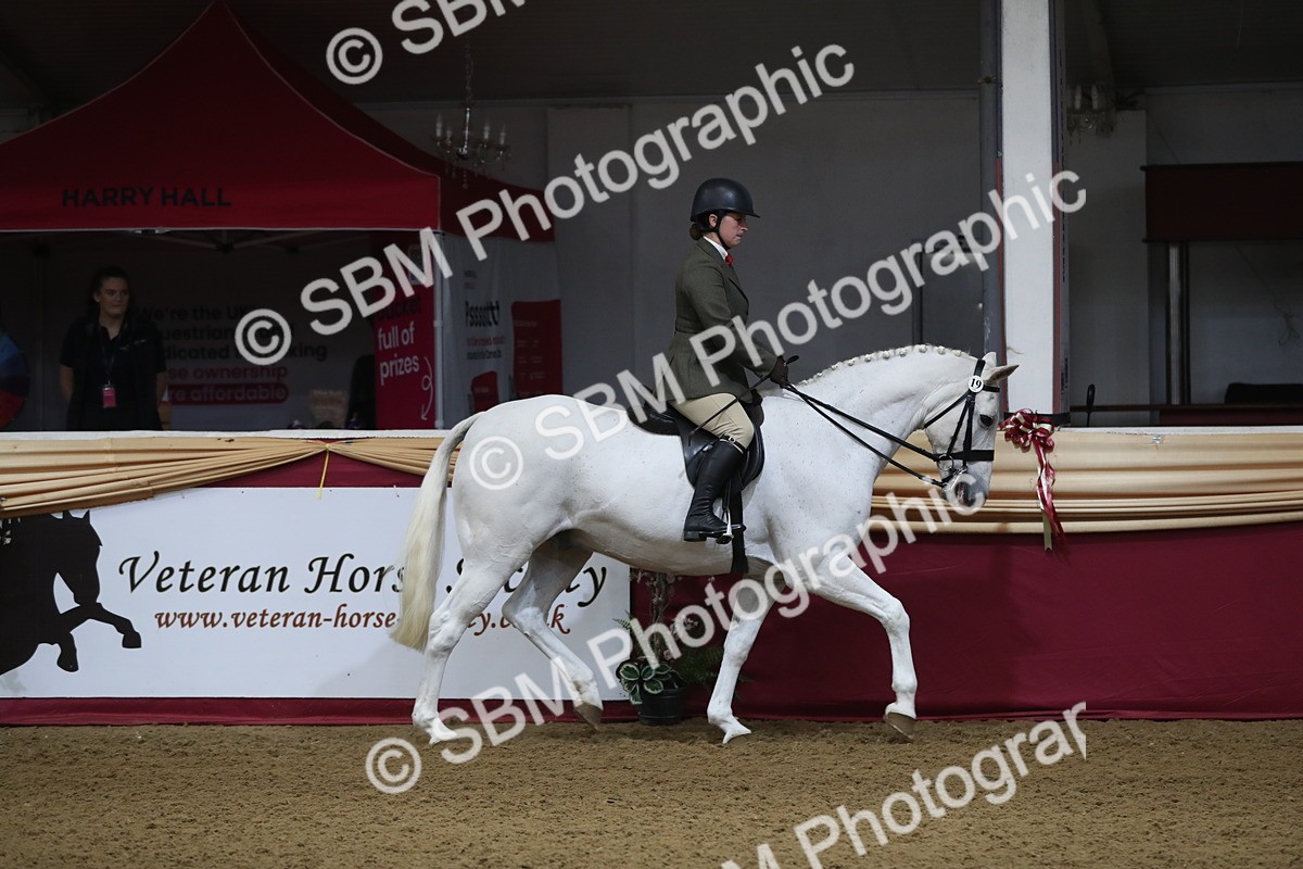 SBM_10343 - Class 102 Equitation (best rider) Adult