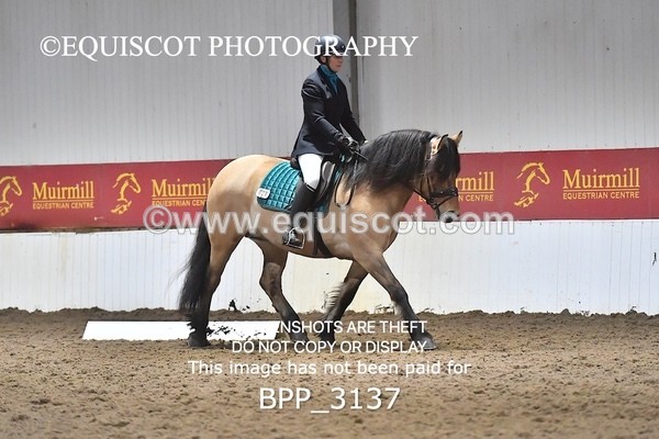 BPP_3137 - INTRO TEST 3