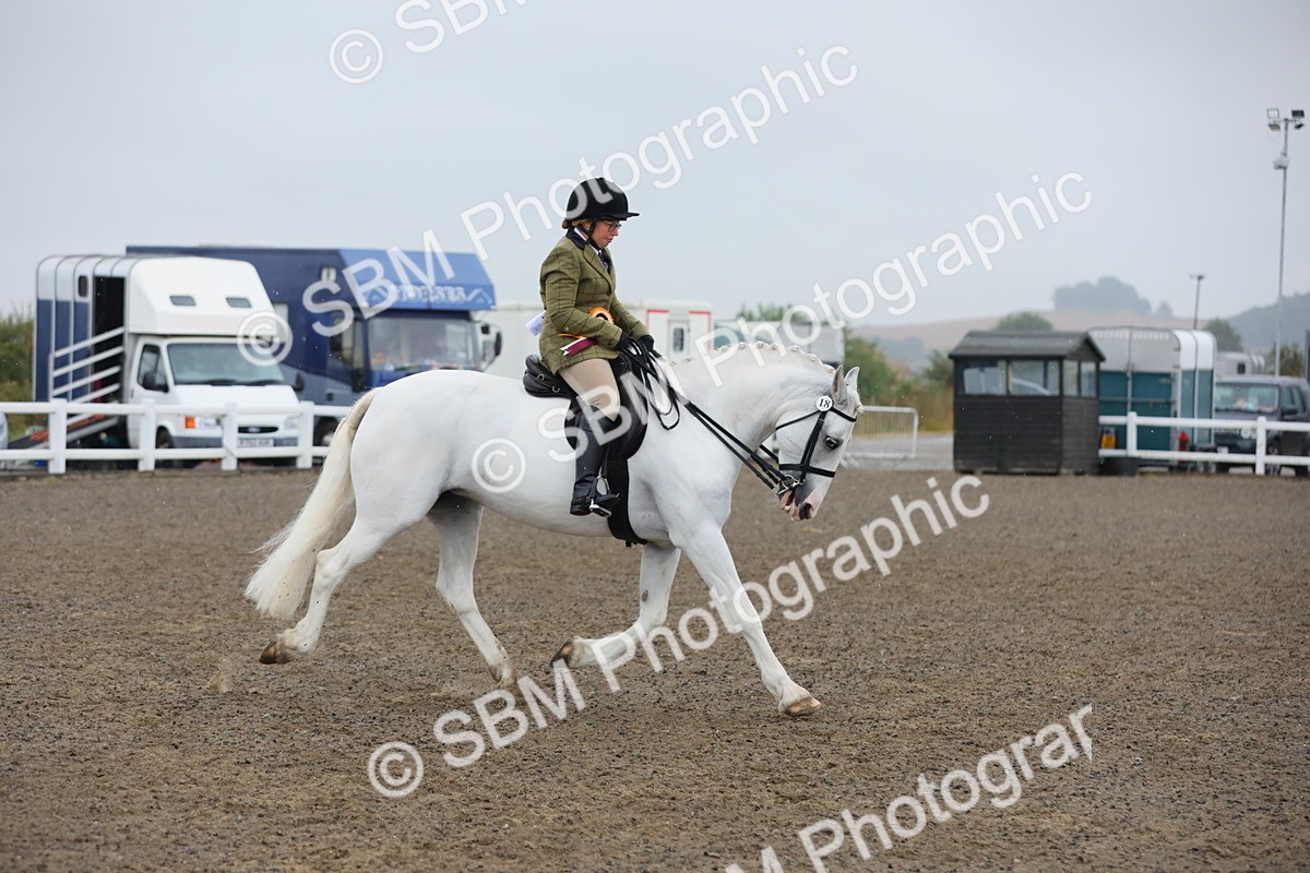 SBM_20406 - Class 803 - Ridden Combination 65+