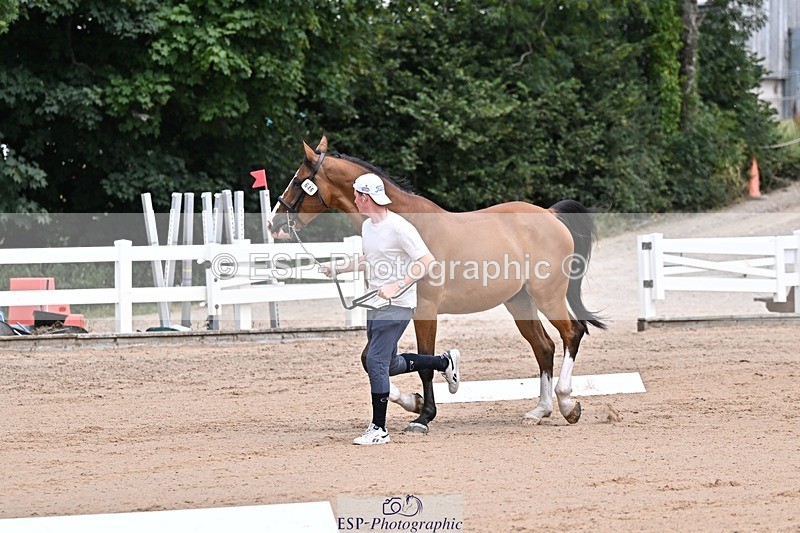 250716-130254-00287 - Trot Up 12.30 to 1.30