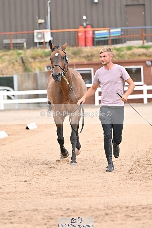 250716-150355-01603 - Trot Up 2.30 to 3.30