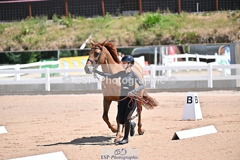 250716-123623-00064 - Trot Up 12.30 to 1.30