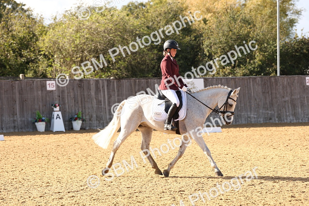 SBM_50462 - D12 - Small Tour Championship prelim 2