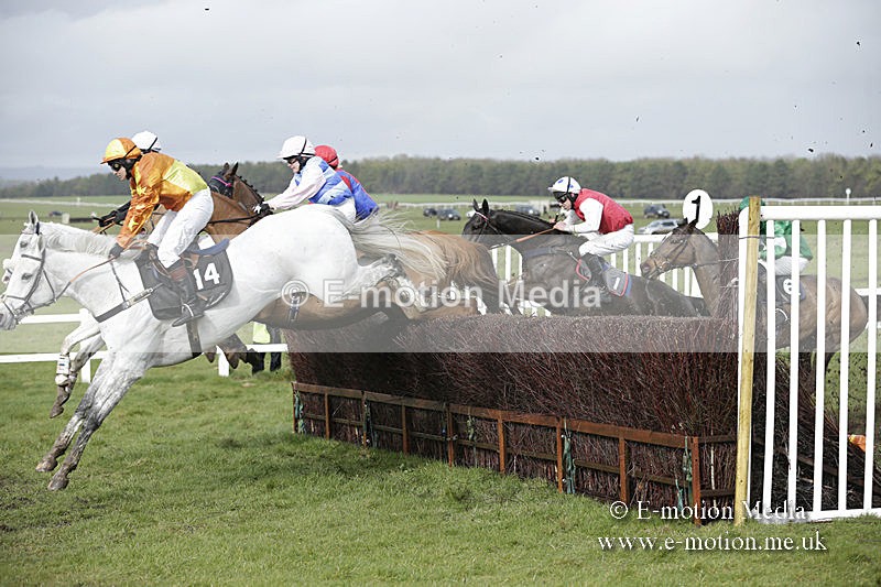 PtP 150320 0388 - New Forest Point-to-Point Larkhill 15/03/20