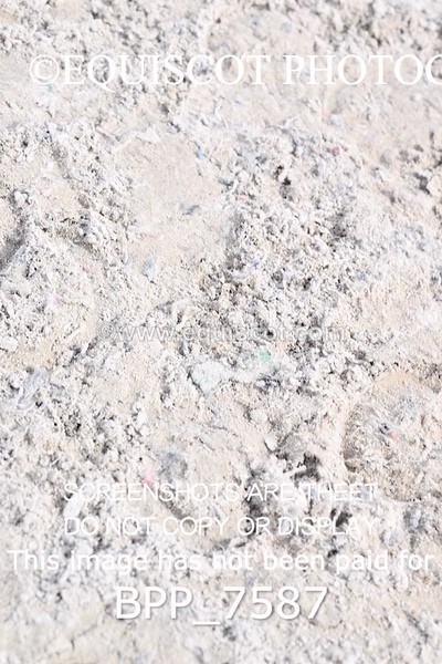 BPP_7587 - RING 1  (RIDDEN HORSES / IN HAND / VETERAN ETC)