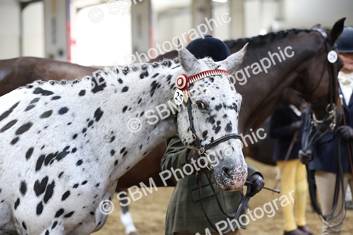 SBM_21865 - Class 901 - Supreme Final - IH  Diamond