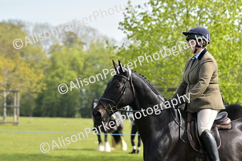 20260426-1158 - Class 19 - Retraining Of Racehorses