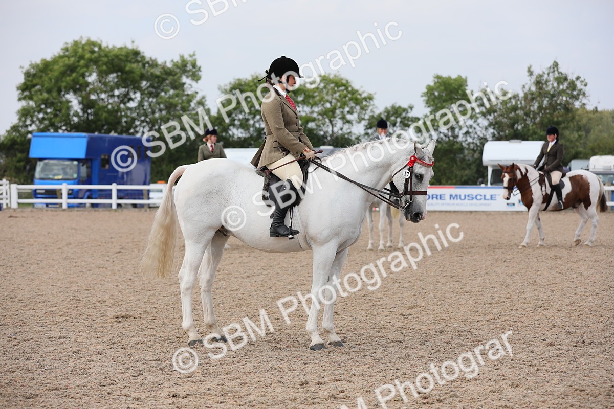 SBM_13403 - Class 308 Ridden Coloured Horse