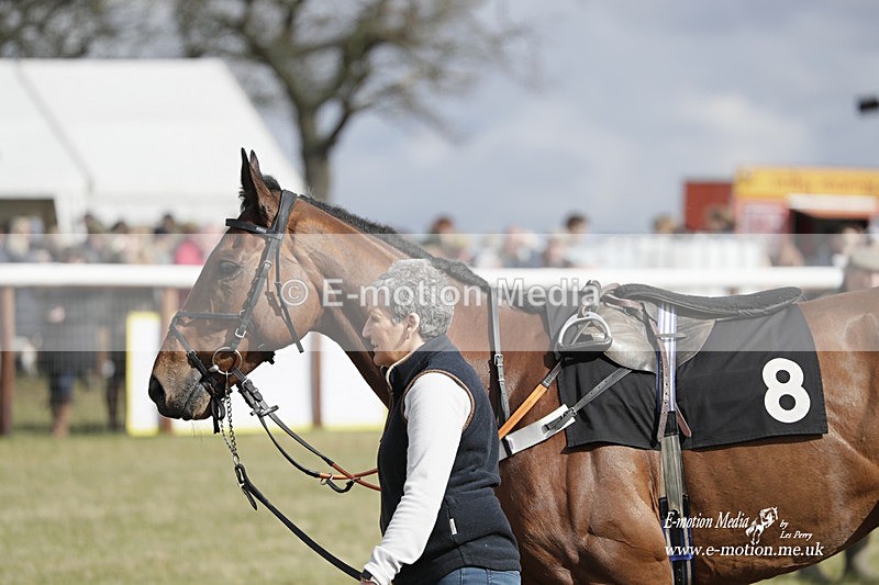 PtP 180323 393 - Shelfield Park Races with Croome & West Warwickshire Hunt  18/03/23