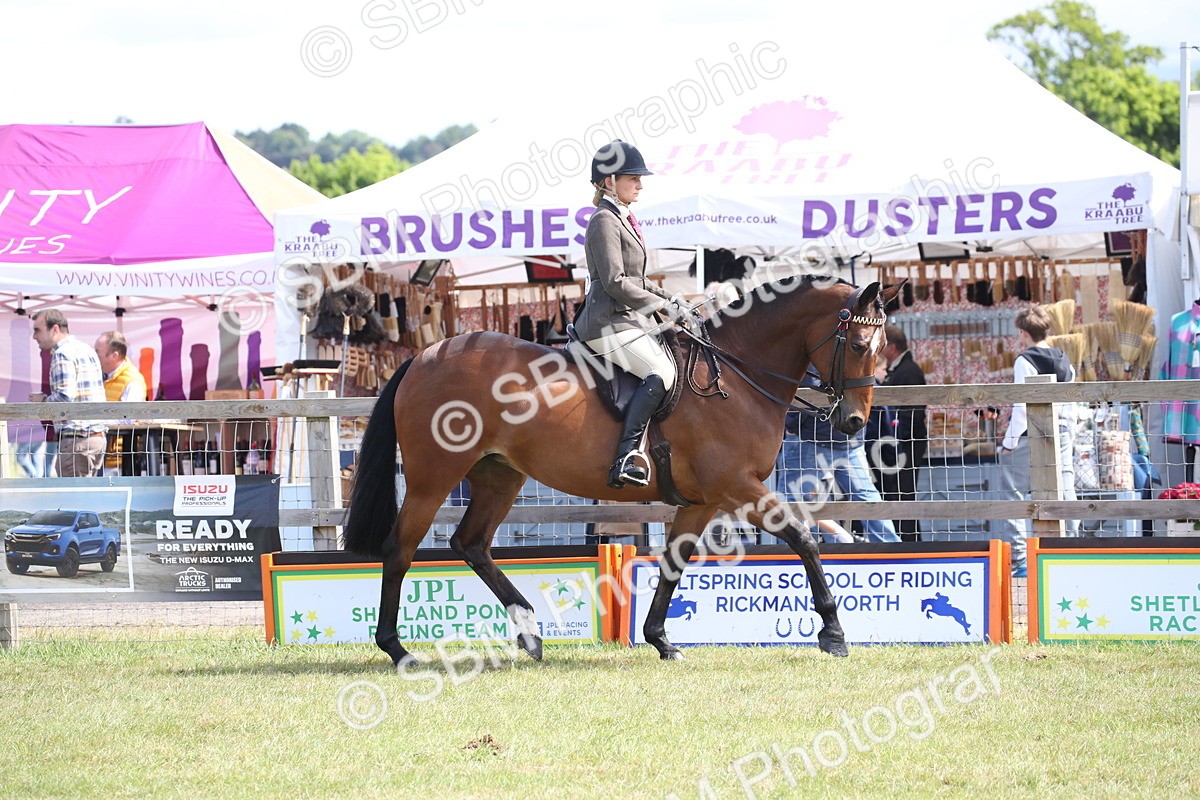 SBM_13300 - Class 95-96 - LIHS BSHA Rising Star Hack Riding Horse