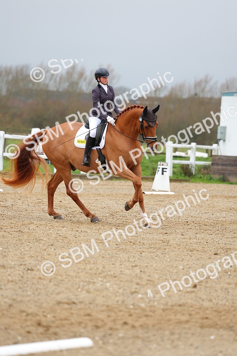 SBM_003352 - Class 7 - Novice 6
