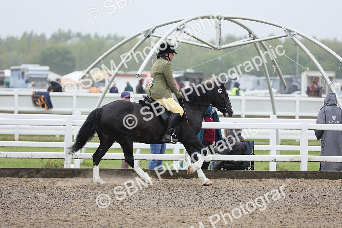 SBM_20071 - Class 802 - Ridden Groom - Helpers class