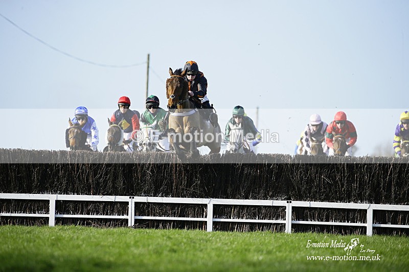 PtP 300122 239 - South Dorset Hunt - Point-to-Point Races 30/01/2022