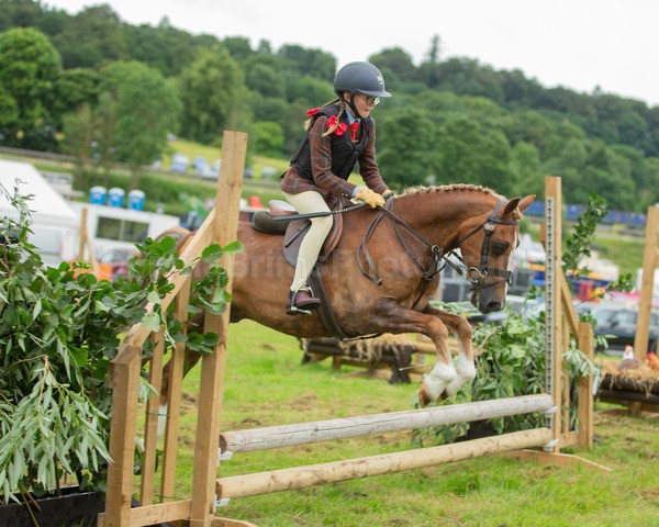 Dunblane show-66 - Dunblane and Doune Show Ring 1