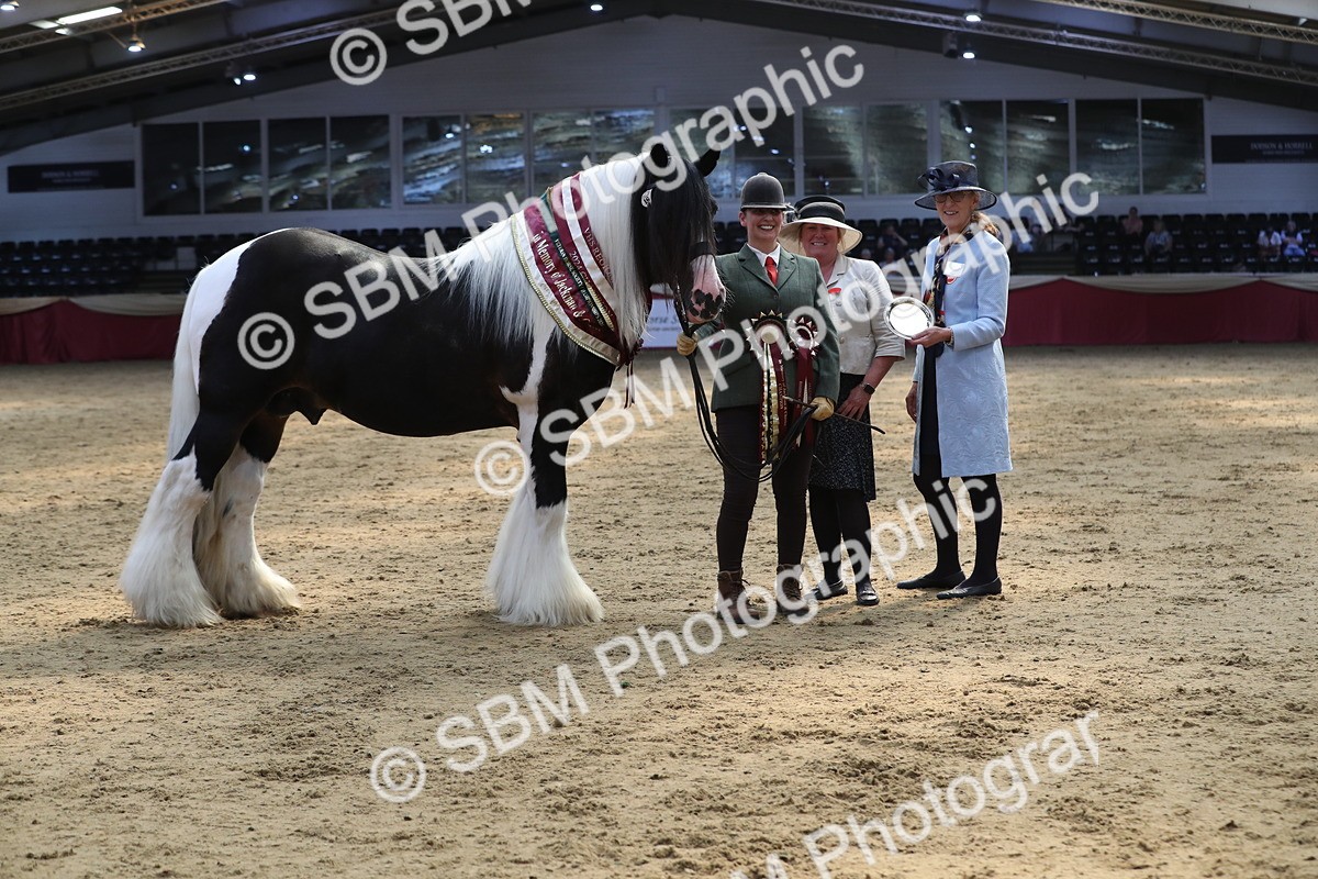 SBM_06585 - Regional IH Champ
