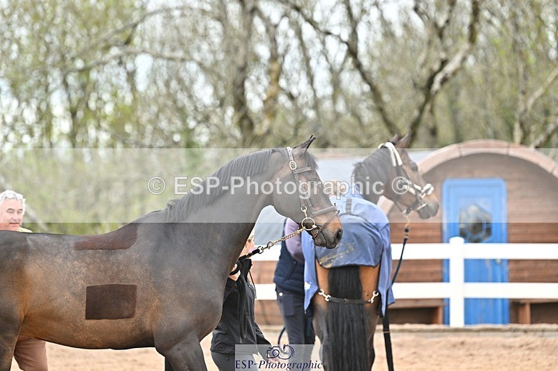 250423-143745-01223 - 2pm to 3pm