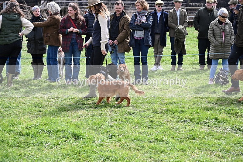 WJ6_8228 - Class 4 Prettiest Bitch