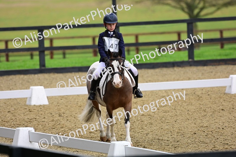 20260125-0641 - Class 9b - Walk Trot Unassisted