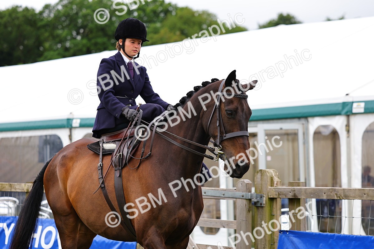 SBM_02689 - Class 9-11 Side Saddle including LIHS Rising Star Ladies Show Horse