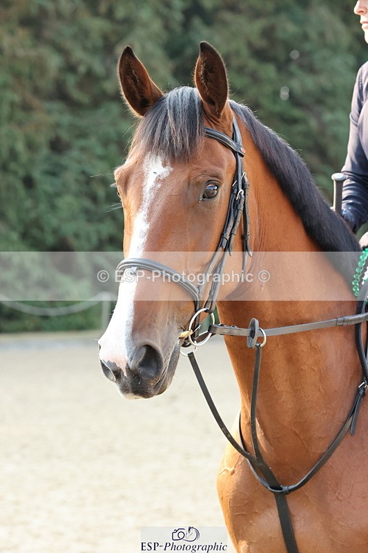 250816A-084703-00203 - Cls 1 Club 70cm