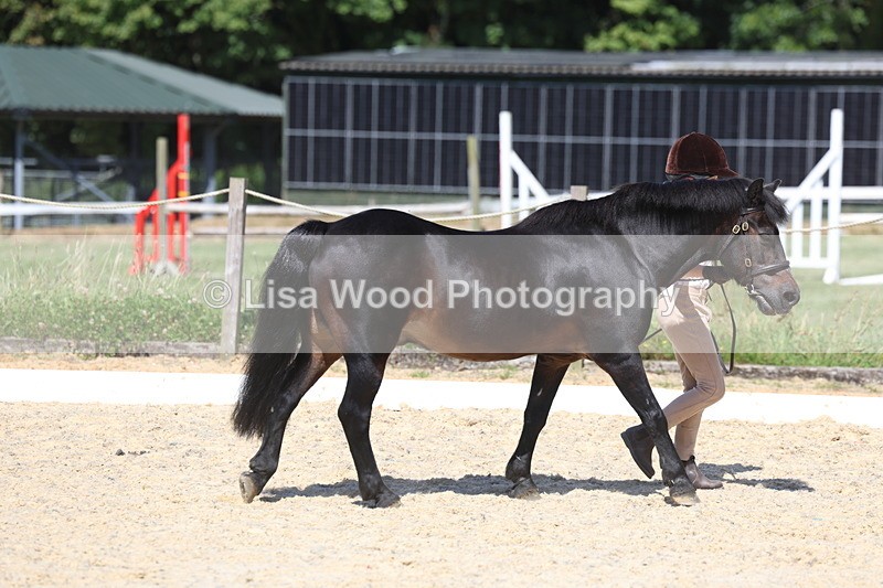 3E7A9405 - Class 29: Veteran In Hand