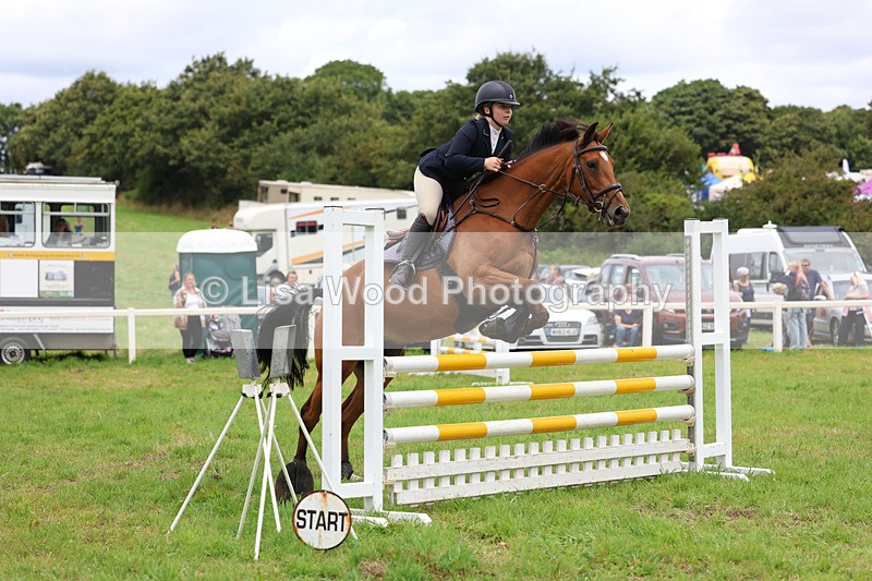 3E7A7128 - Class 5: Senior British Novice/90cm open