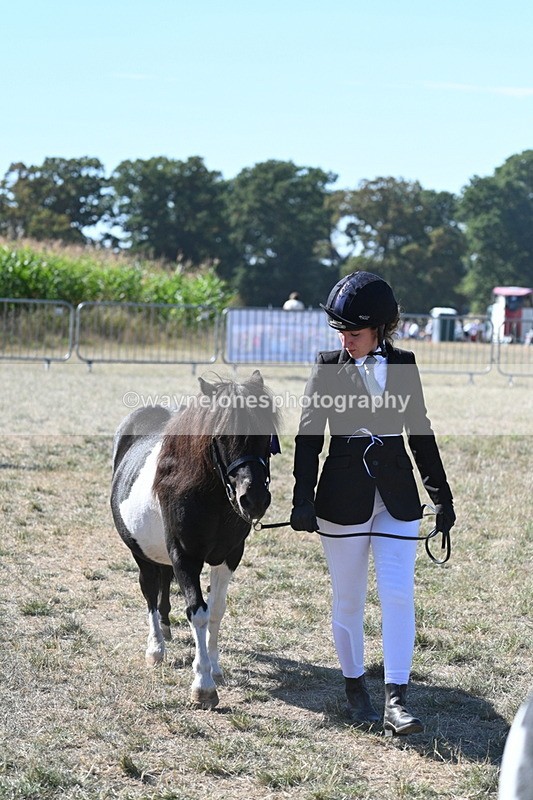 WJ7_1978 - Class 43 Best Six Legs (In hand)