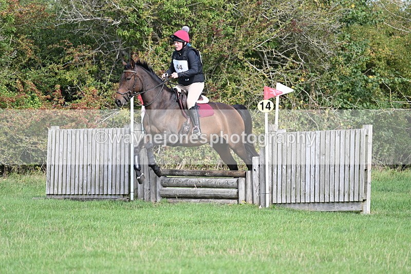 WJ7_8269 - 60cm Pairs