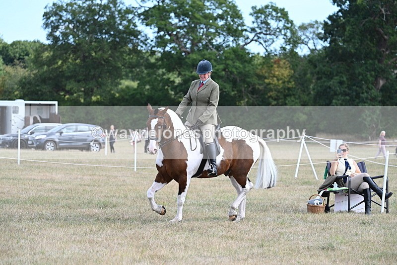 WJ7_6899 - Class 14 Ridden Coloured