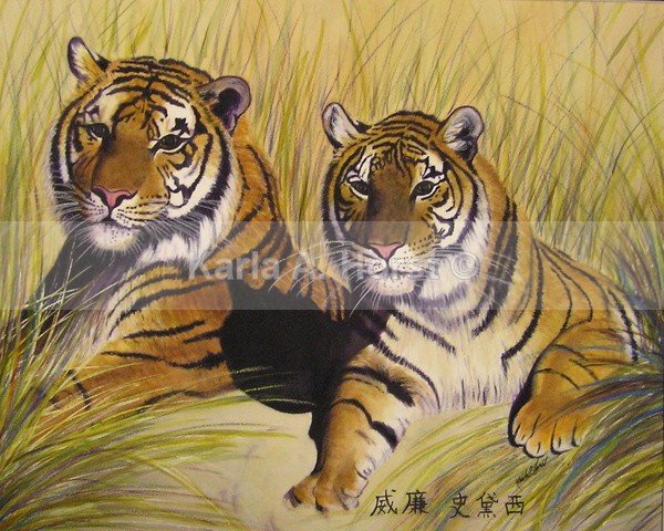 Tigers - Prints