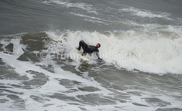 DSC_1631 - Cayton Bay - 11th April 2017
