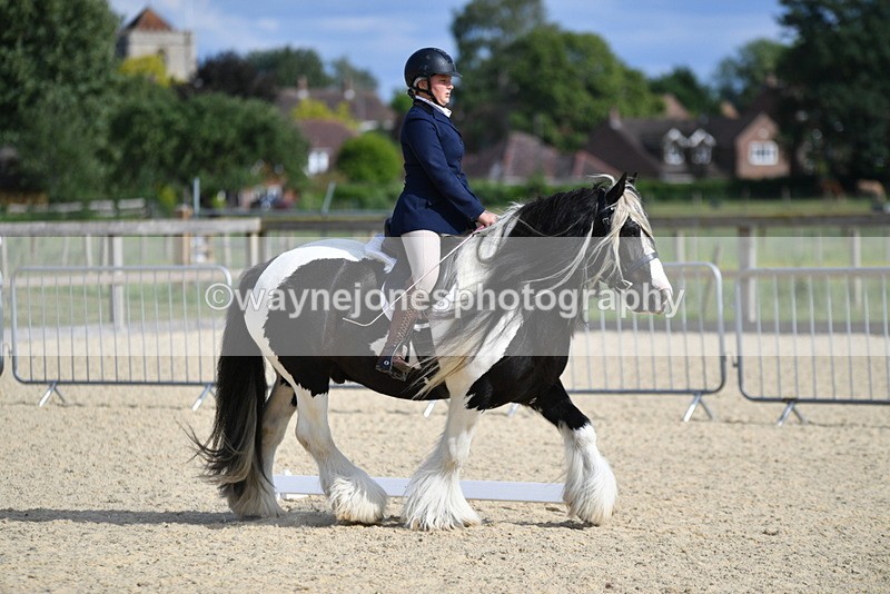 WJ5_7724 - Time 16:40 to 16:55