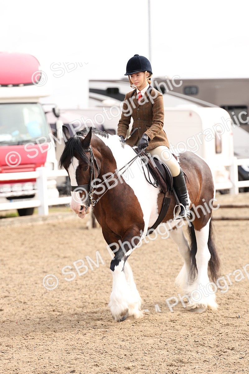 SBM_04266 - Class 54 - Riding Club Horse/Pony