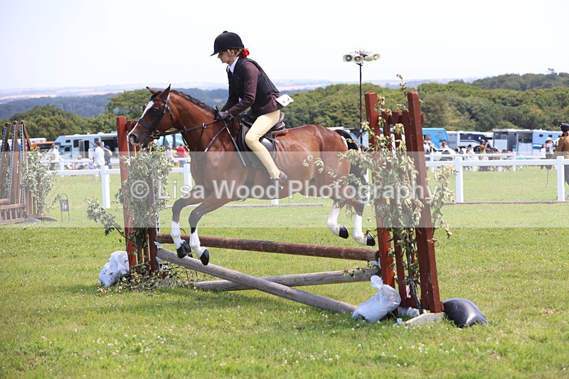 JPP_2637 - Class 21: Working Hunter 60cm