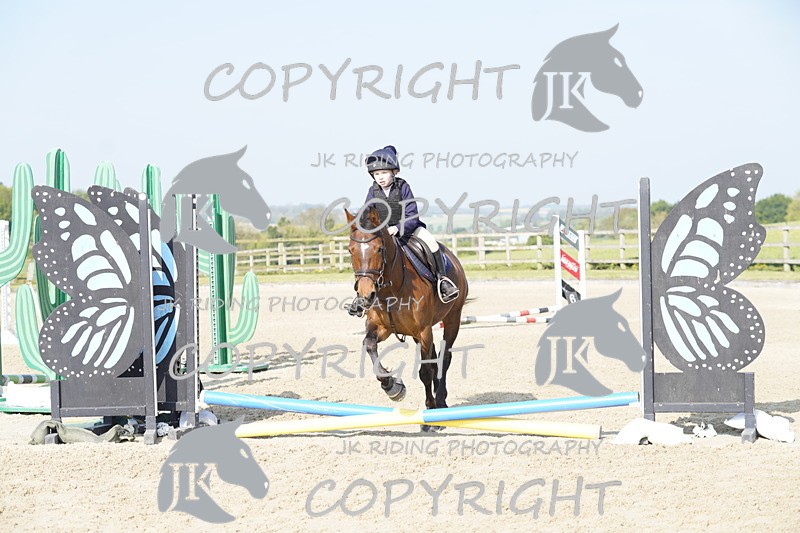 _DSC6472 - USJL Oakingham Stud 27.04.25