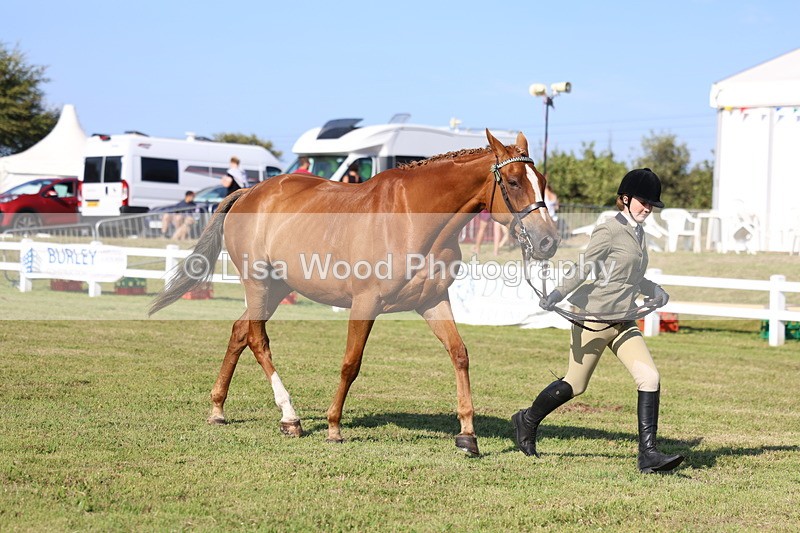 3E7A5690 - Class 2: Rising Star Large Hack/Riding Horse