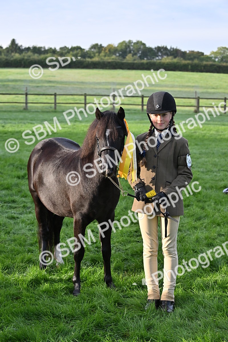 SBM_54638 - S44 - Youngstock In Hand