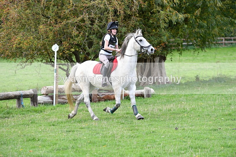 WJ5_0999 - Time 14:29 to 15:31