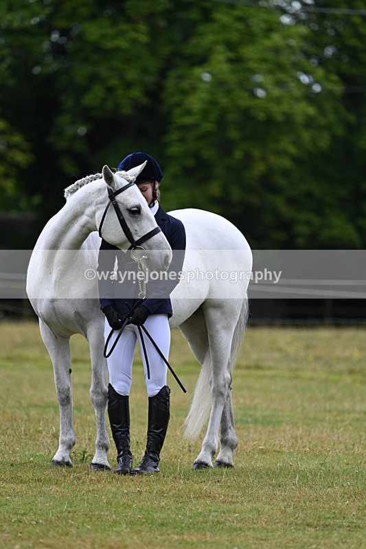 WJ7_6344 - Class 4a Prettiest Mare over 14hh