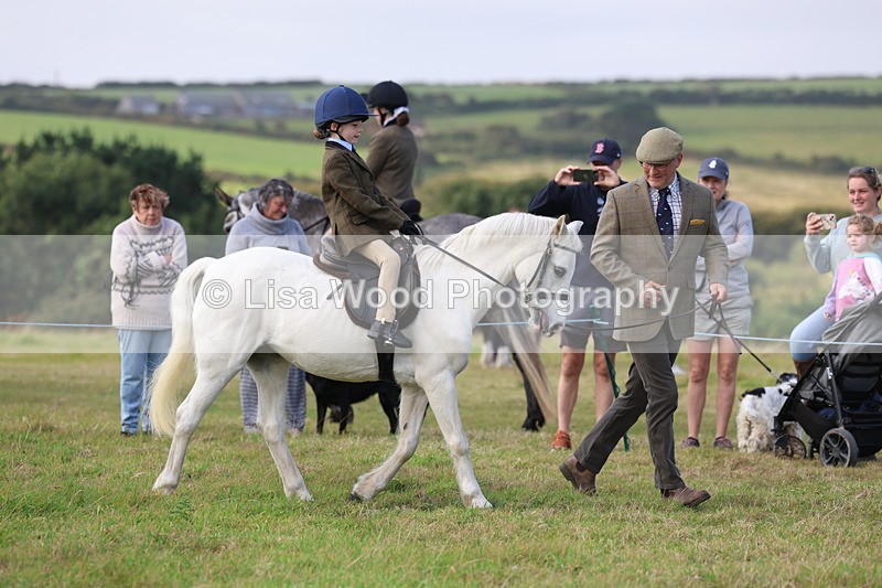 3E7A3474 - Class 2: Lead rein