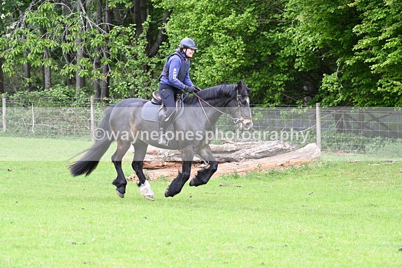 WJ7_2176 - Group 3 A&B Cameras