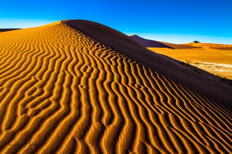 Sossusvlei Sand Dunes 2 - Landscapes